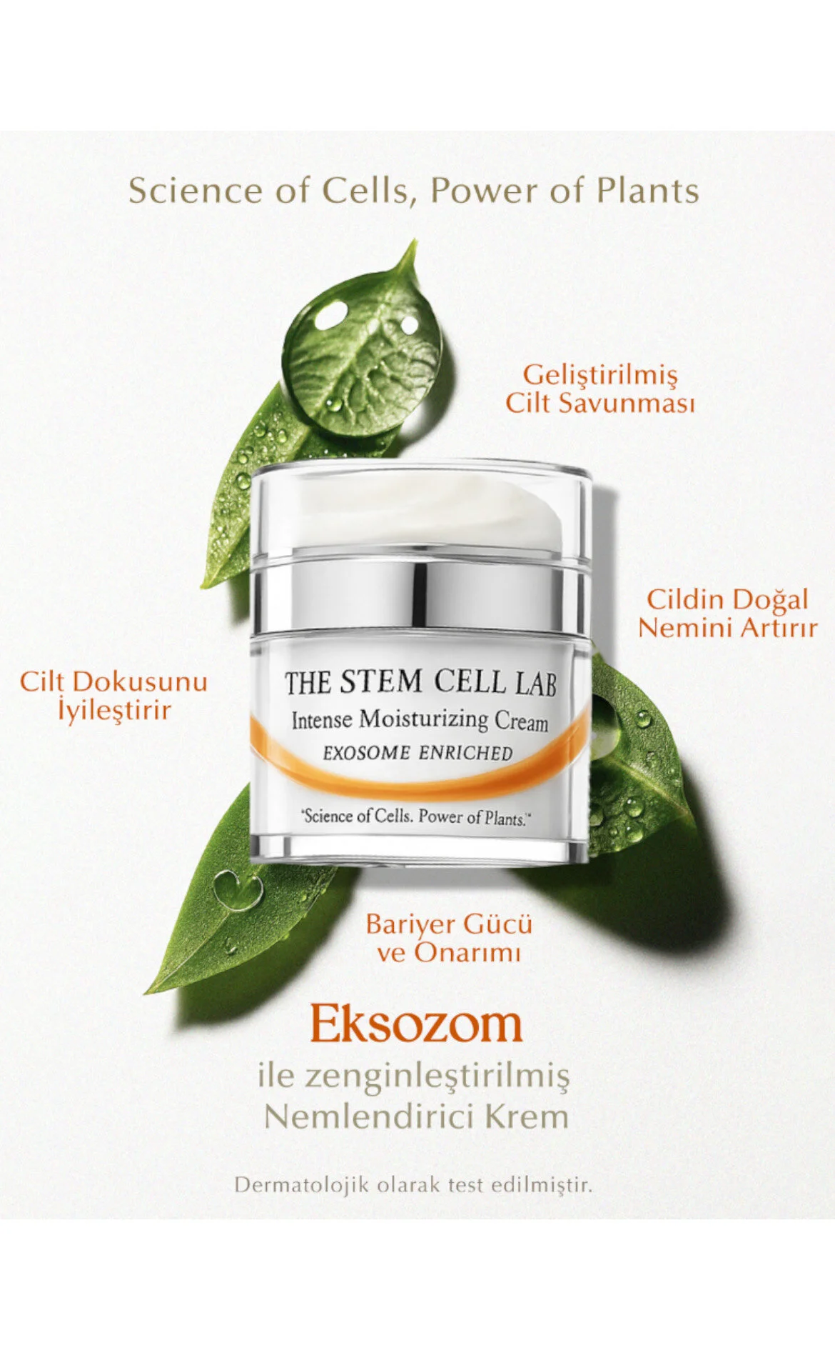 Intense Moisturizing Krem 50 ml - The Stem Cell Lab 101 | Brandroom