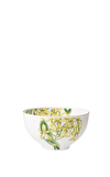 Resim Amazonia Tropik Desenli Kase 13 cm