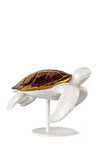 Resim Deniz Kaplumbağası II Beyaz Bakır