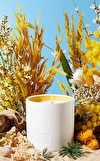 Resim Les Tamaris Yaz Esintili Kokulu Mum 280 gr