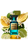 Resim Neroli Portofino Spray EDP 50 ml Unisex Parfüm