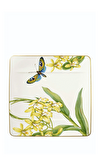 Resim Amazonia Tropik Desenli Kare Düz Tabak 23 cm
