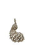 Resim Altın Madeni Pirinç İncili Tavuskuşu Broş