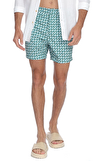 Resim Yeşil Zikzak Desenli Normal Bel Erkek Şort Mayo