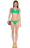 Resim Yeşil Bikini Altı