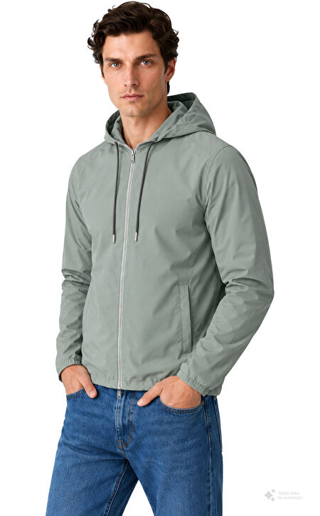 Tombolini | Brandroom